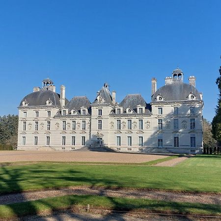 Trainefeuilles - Chambres D'Hotes Proche Zoo De Beauval Le Controis-en-Sologne Экстерьер фото