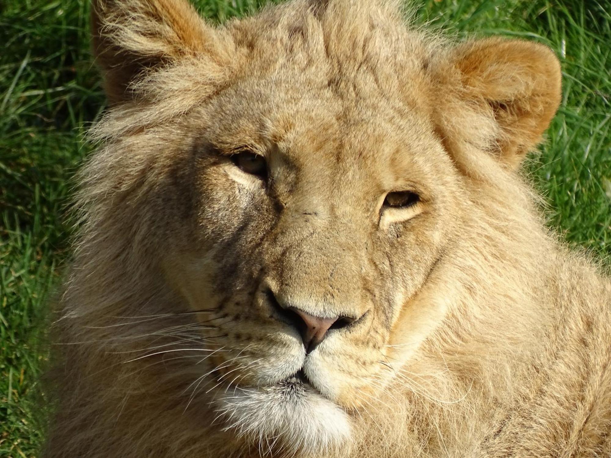 Trainefeuilles - Chambres D'Hotes Proche Zoo De Beauval Le Controis-en-Sologne Экстерьер фото